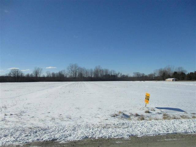 China Twp, MI 48054,VACANT MCKINLEY  # C