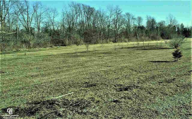 Ray Twp, MI 48096,LOT AA NORTH AVENUE