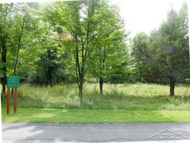 Chesaning Twp, MI 48616,V/L ARROWHEAD DRIVE 1-A