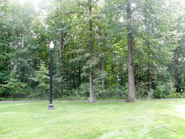 Chesaning Twp, MI 48616,V/L ARROWHEAD DRIVE 1-A