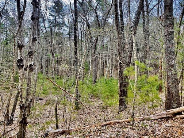 Norwell, MA 02061,64 Samuel Woodworth Rd