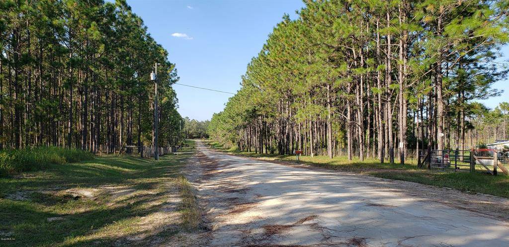 Morriston, FL 32668,TBD SE 137 AVENUE