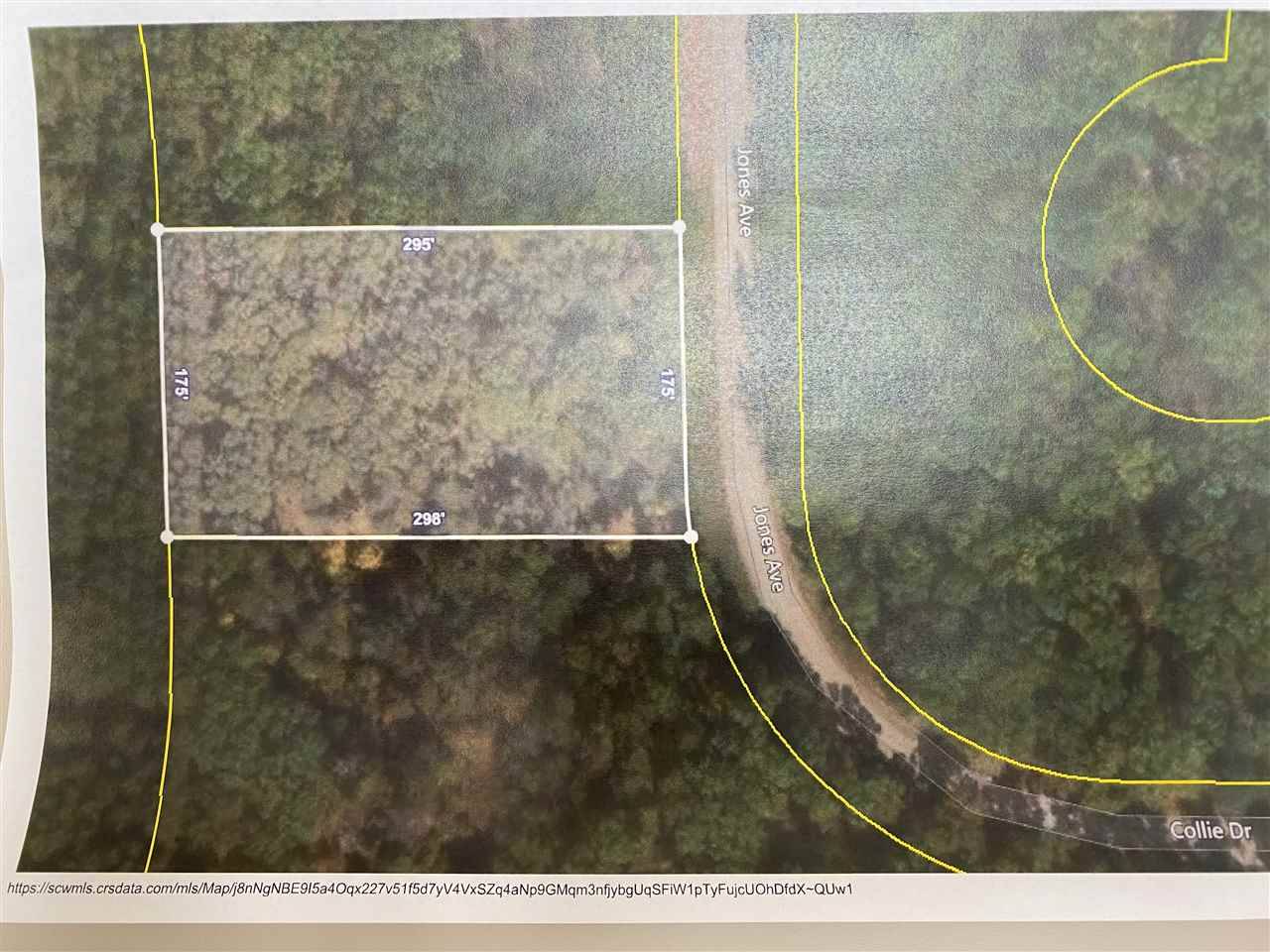 New Lisbon, WI 53950,1.19 acres Jones Ave