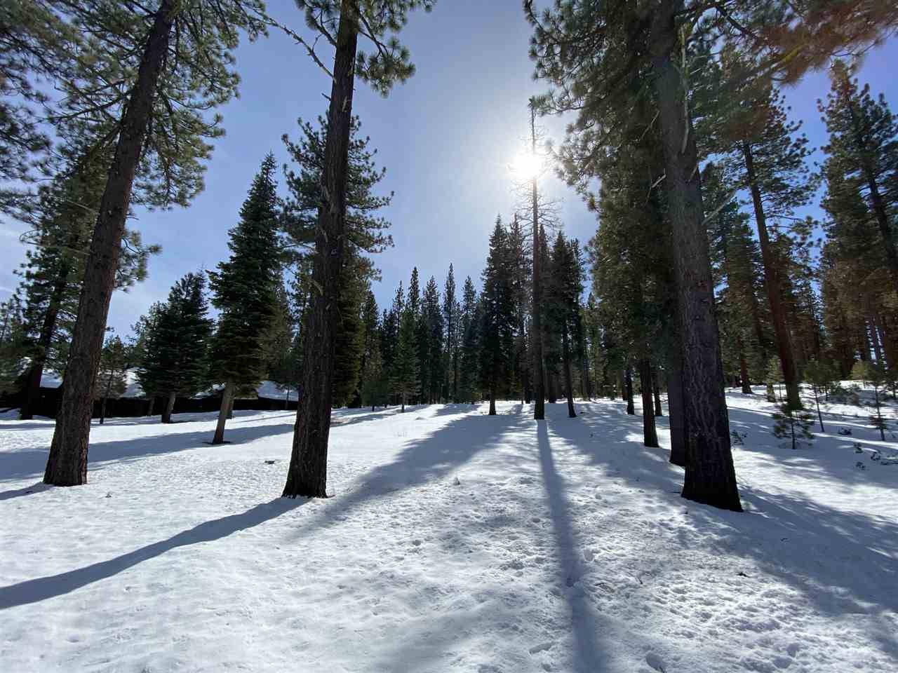 Truckee, CA 96161-0000,7140 Lahontan Drive