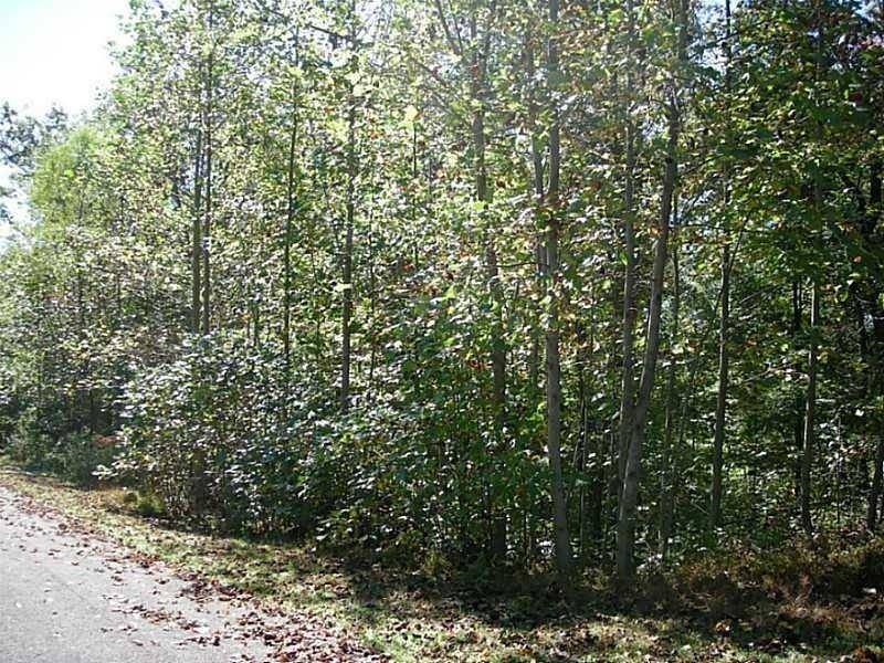 Marble Hill, GA 30148,916 Cove Lake DR