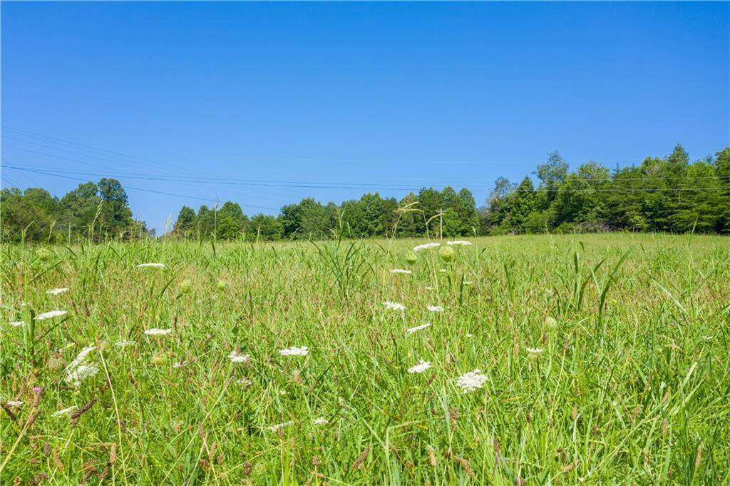 Blairsville, GA 30512,0 Mauney CIR