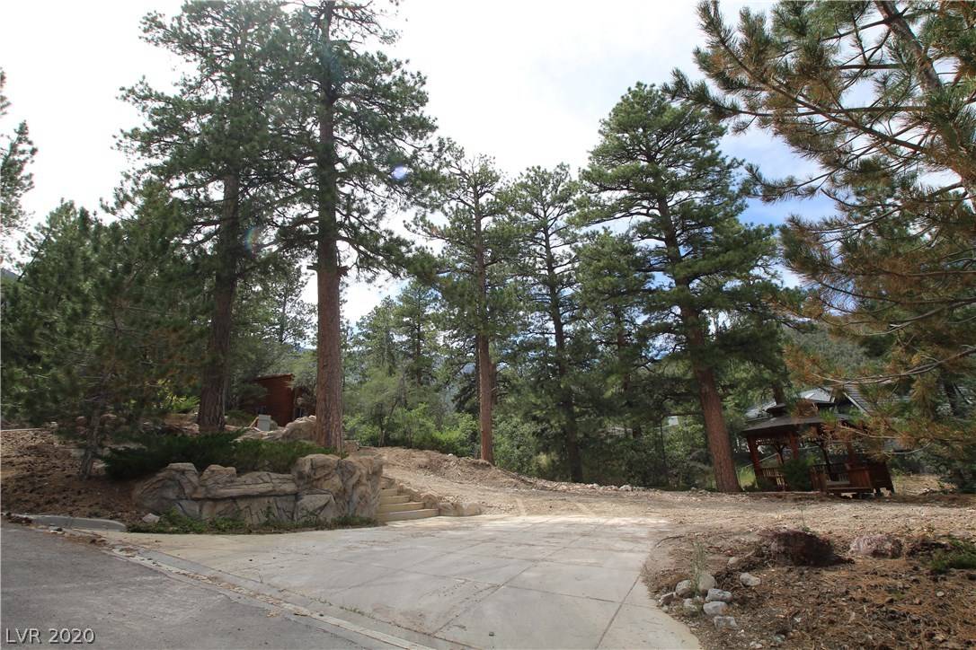 Mount Charleston, NV 89124,253 SKI TRAIL Road