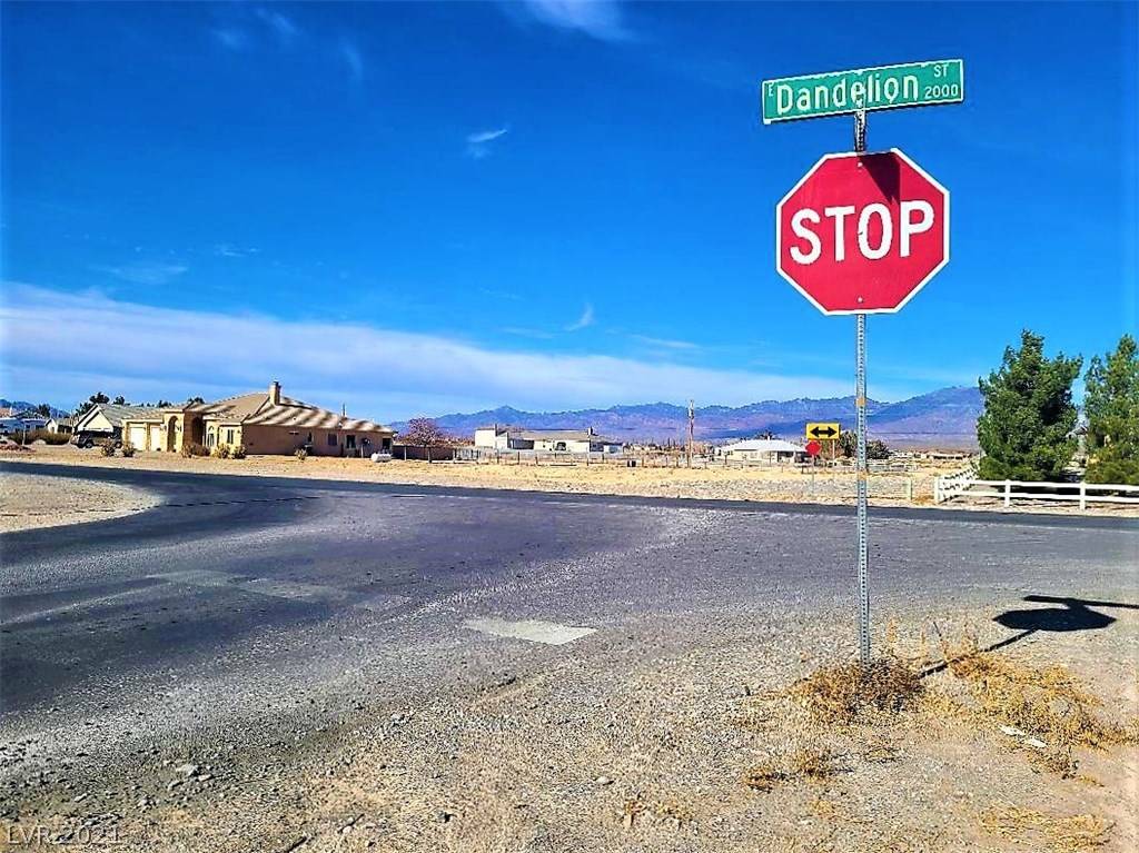 Pahrump, NV 89048,2061 E Dandelion Street