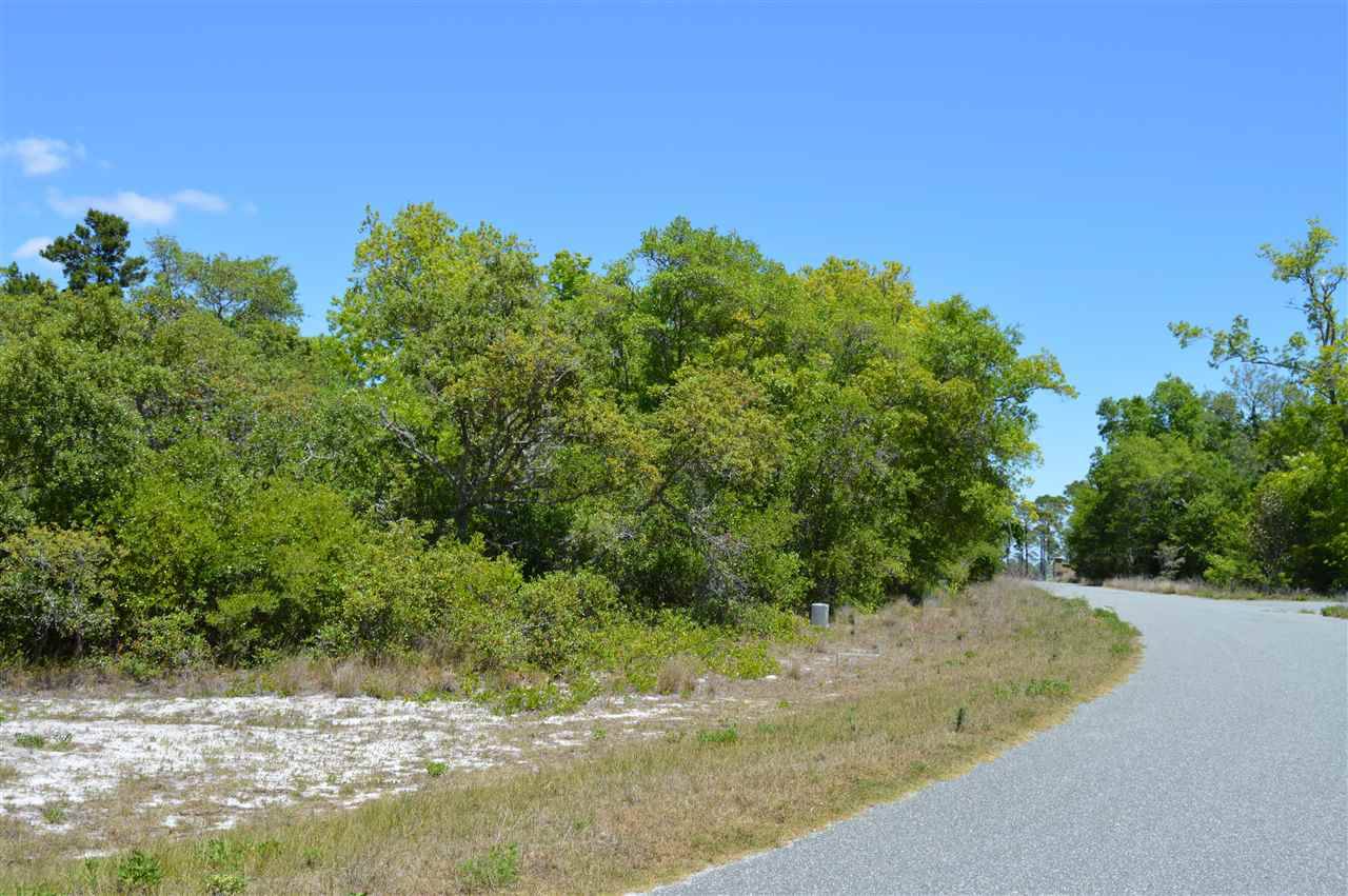 Alligator Point, FL 32346,119 Hidden Harbor Drive #-