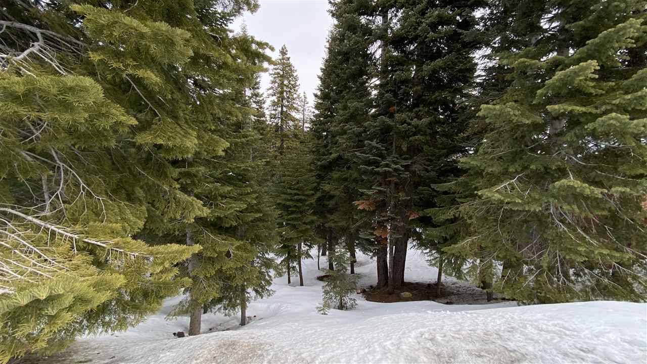Truckee, CA 96161,13720 Pathway Avenue