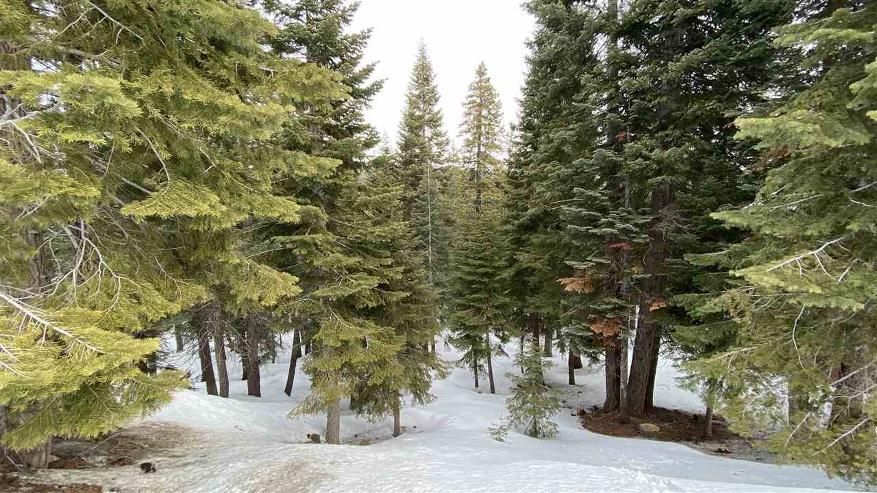Truckee, CA 96161,13720 Pathway Avenue