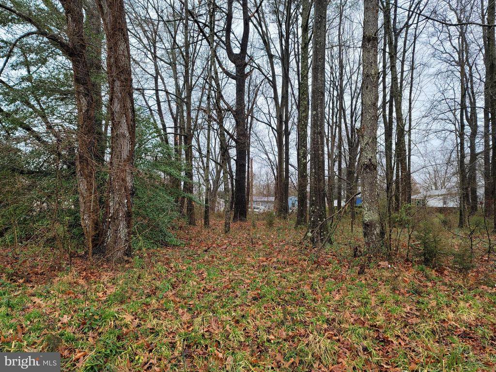 Colonial Beach, VA 22443,LOT 2 CLEARVIEW DR