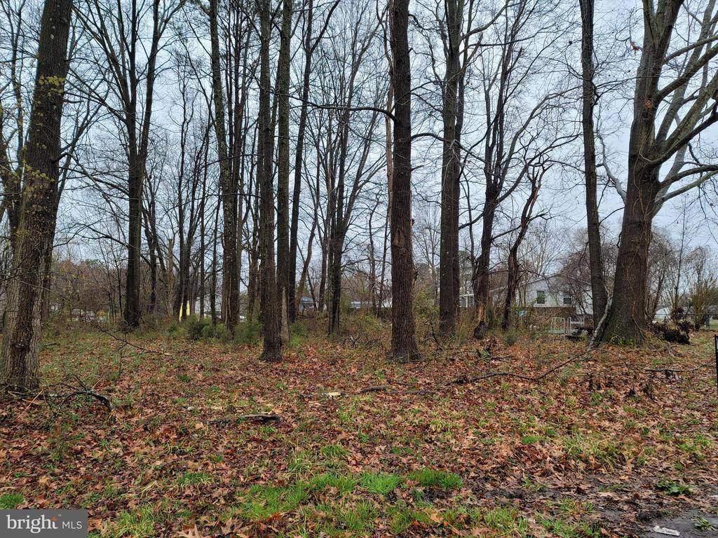 Colonial Beach, VA 22443,LOT 3 CLEARVIEW DR