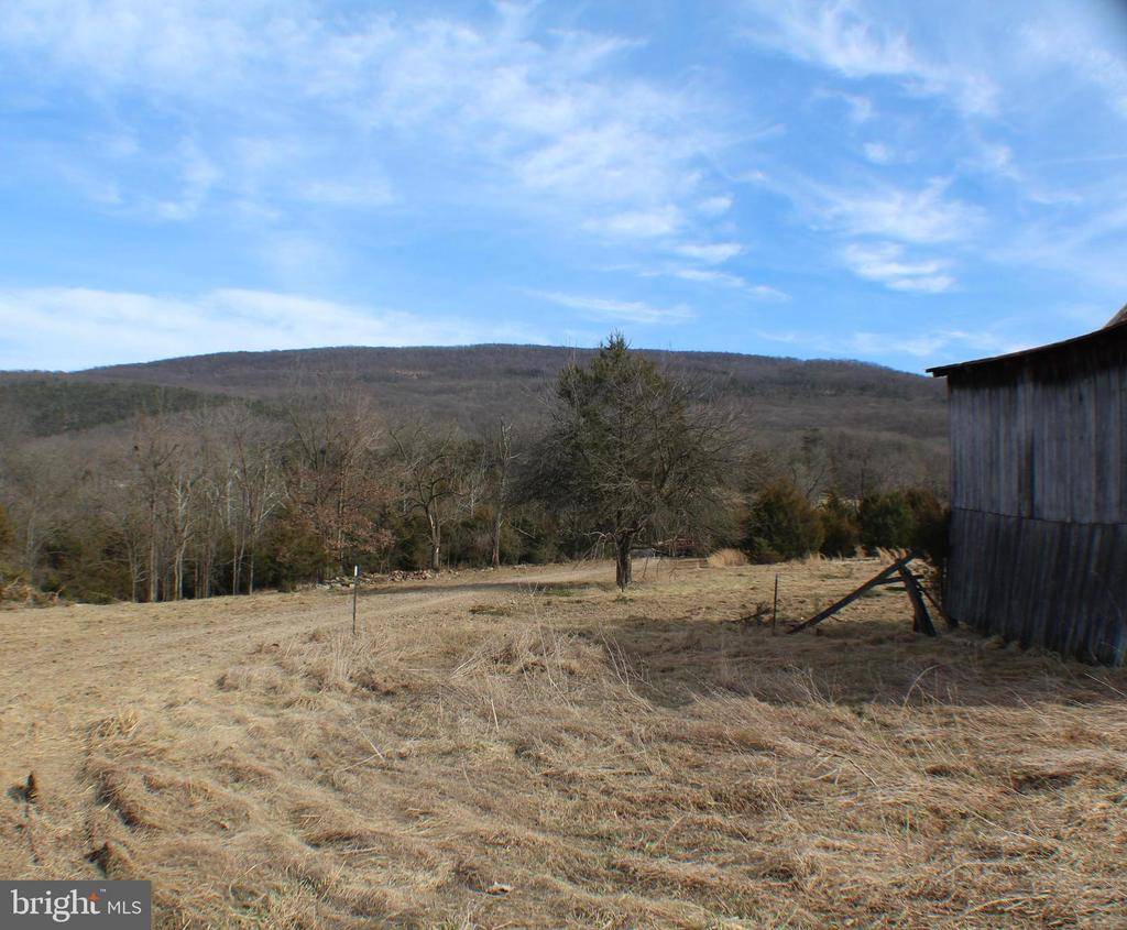 Upper Tract, WV 26866,25AC S MILL CREEK