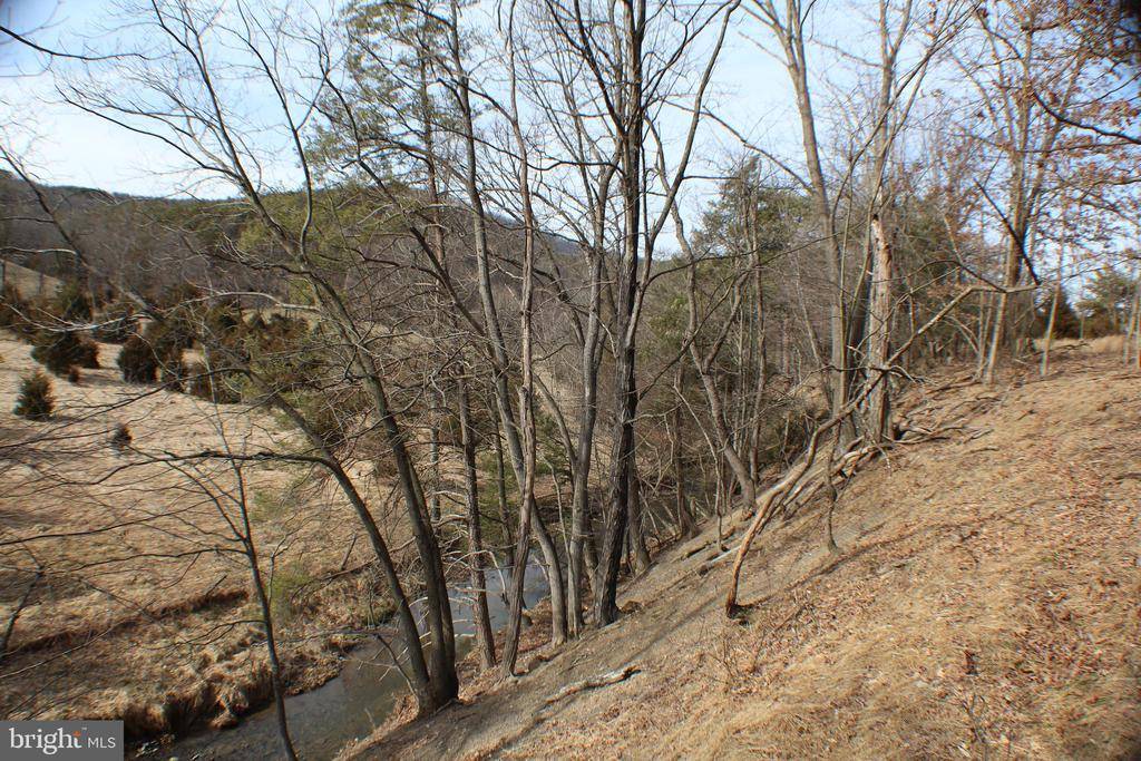 Upper Tract, WV 26866,25AC S MILL CREEK