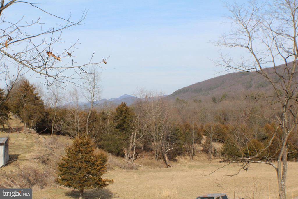 Upper Tract, WV 26866,25AC S MILL CREEK