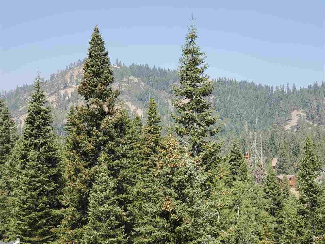 Alpine Meadows, CA 96146-0000,1133 Snow Crest Road