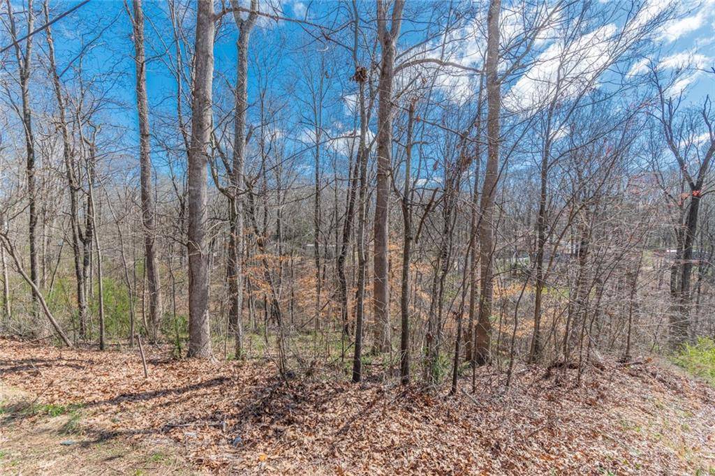 Cumming, GA 30041,0 Akins WAY
