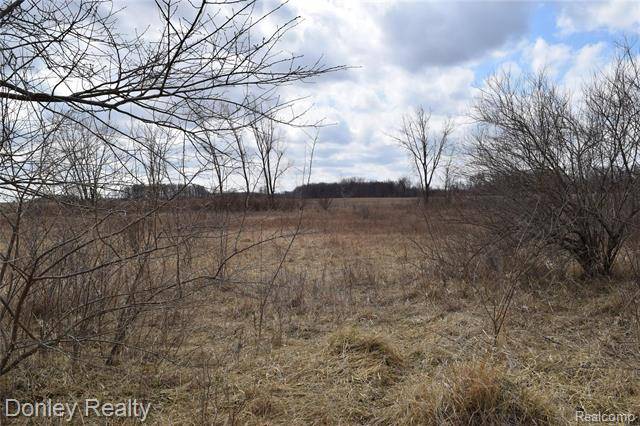 Koylton Twp, MI 48741,00 BRIEF RD