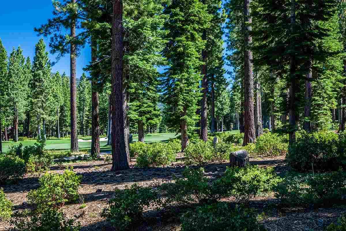 Truckee, CA 96161,8324 Valhalla Drive