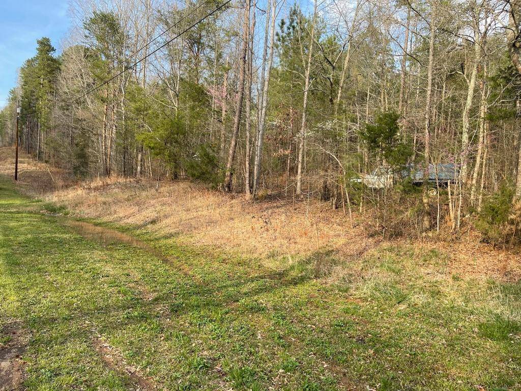 Lavonia, GA 30553,Lot44 Mountain View RD