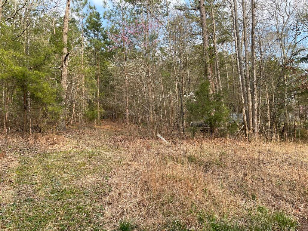 Lavonia, GA 30553,Lot44 Mountain View RD