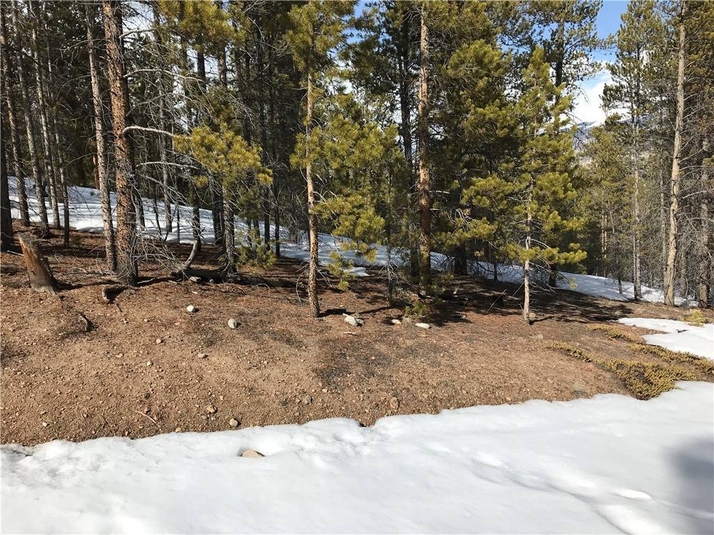 Twin Lakes, CO 81251,179 Spruce