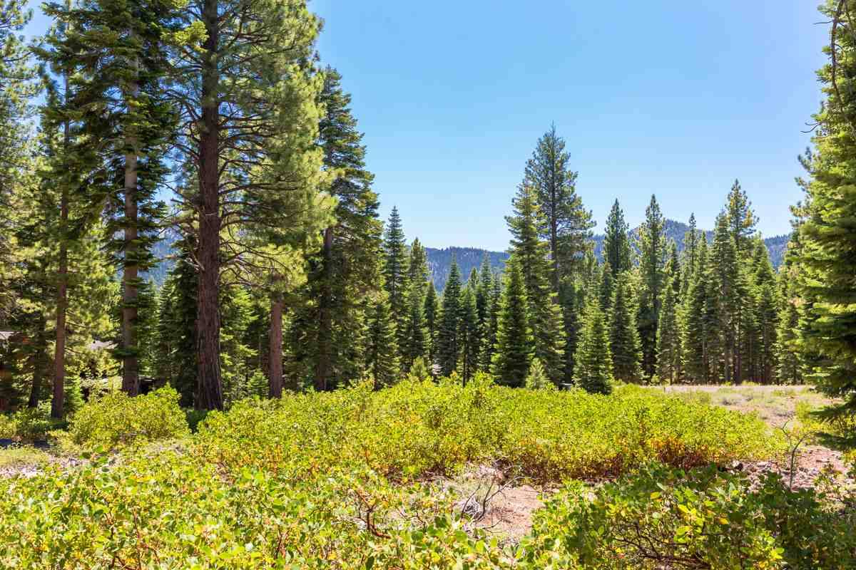 Truckee, CA 96161,10912 Olana Drive