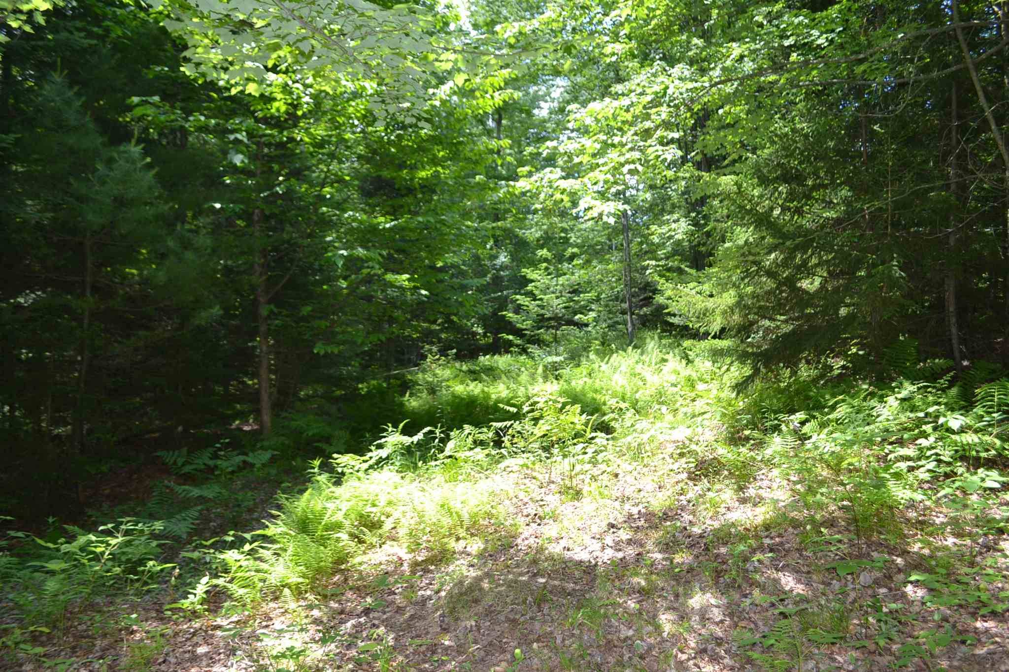 East Montpelier, VT 05651,Lot 2 North ST