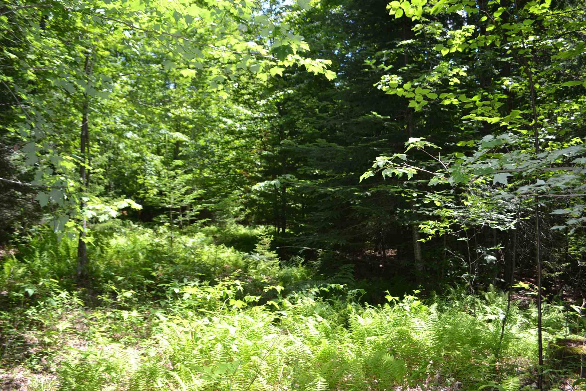 East Montpelier, VT 05651,Lot 2 North ST