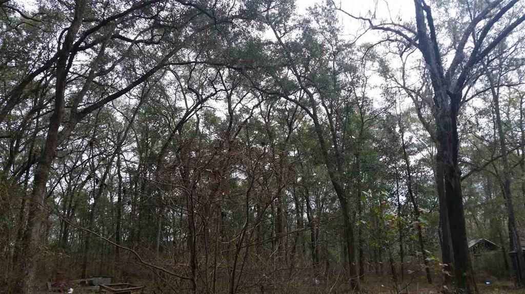 Greenville, FL 32344,232 E Bear Hollow Trail