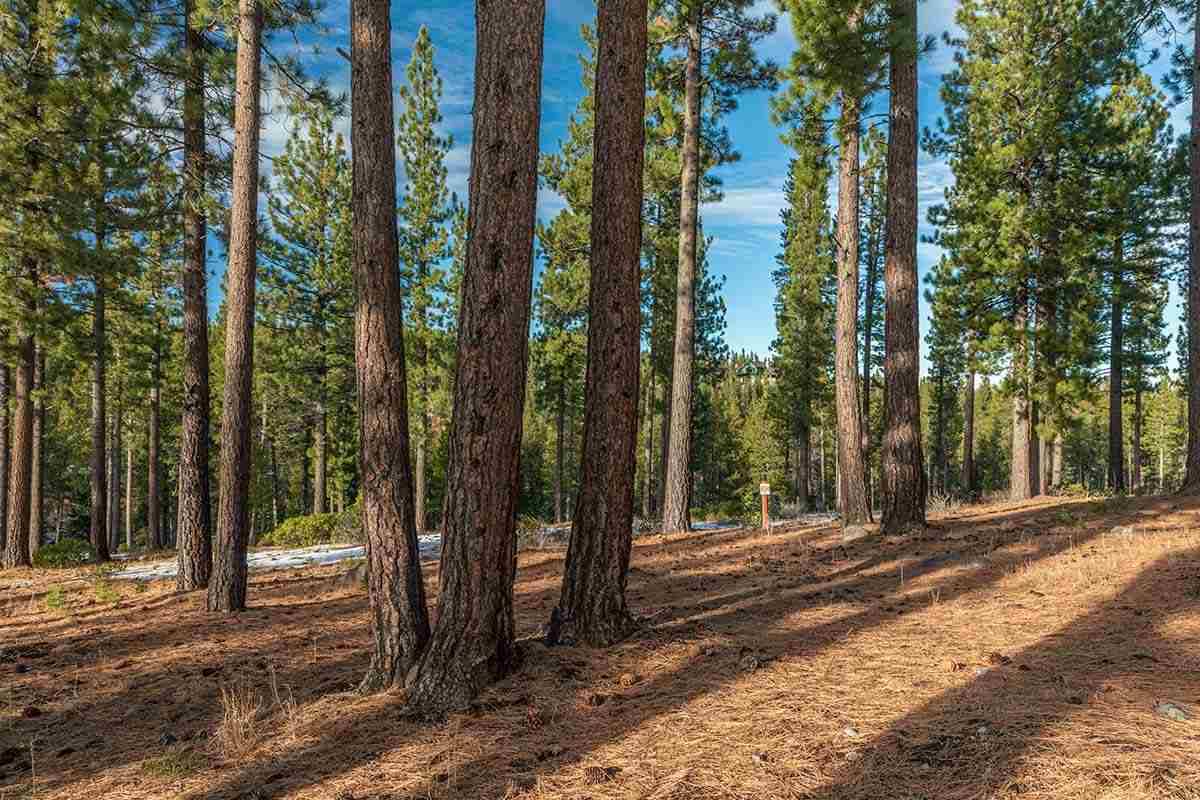 Truckee, CA 96161,7052 Villandry Circle