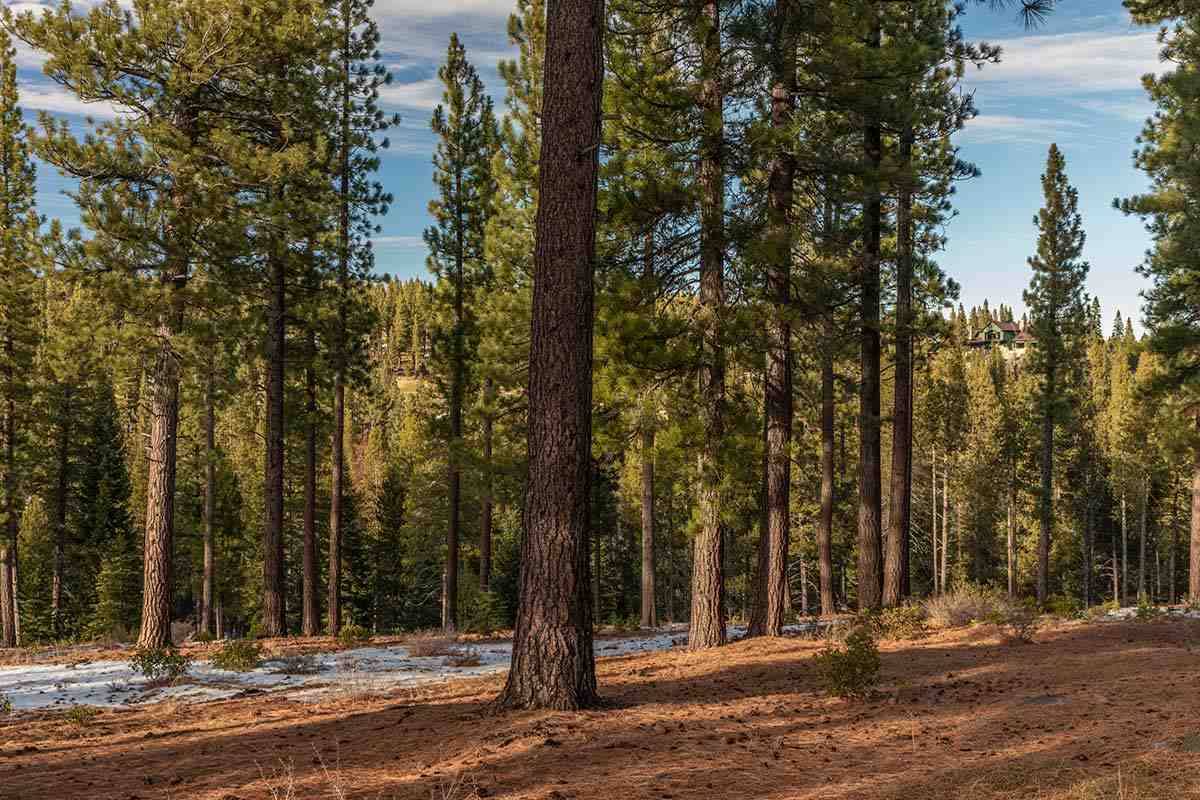 Truckee, CA 96161,7052 Villandry Circle