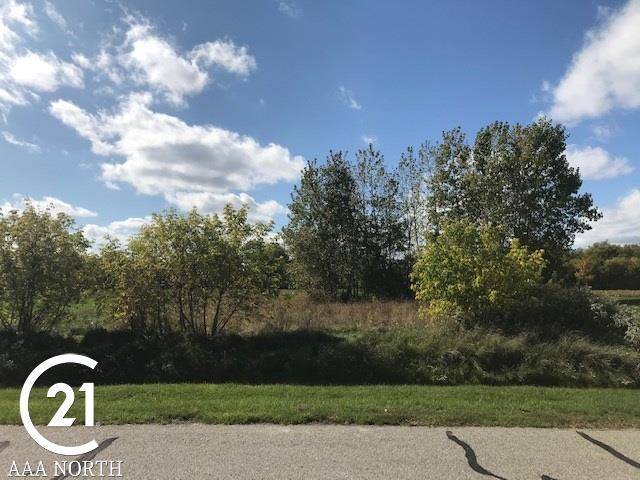 Bruce Twp, MI 48065,75699 ELK HORN DR