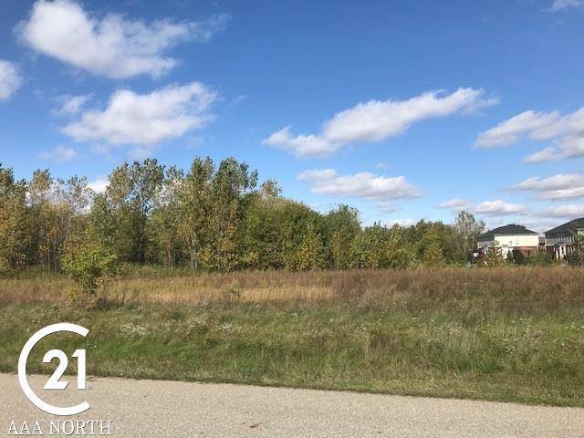 Bruce Twp, MI 48065,75298 ELK HORN DR