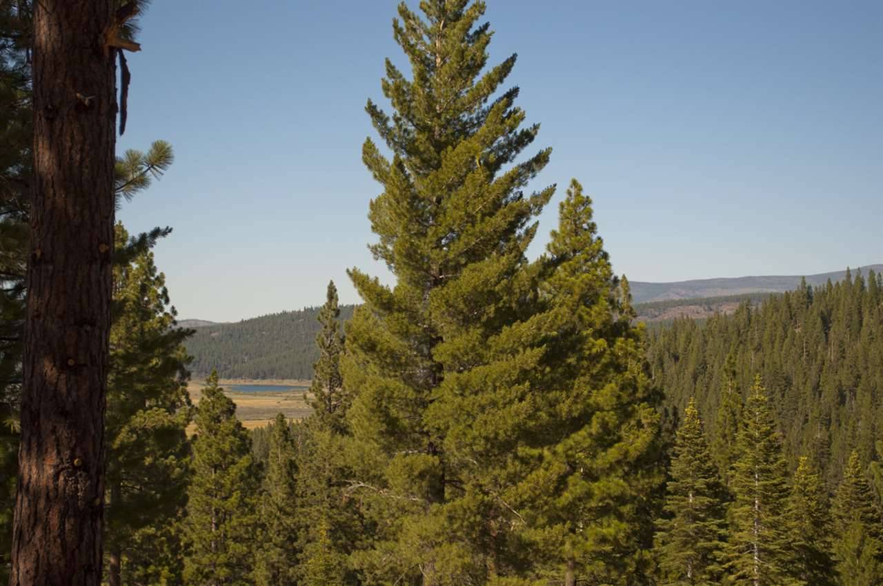 Truckee, CA 96161-5214,2618 Elsinore Court
