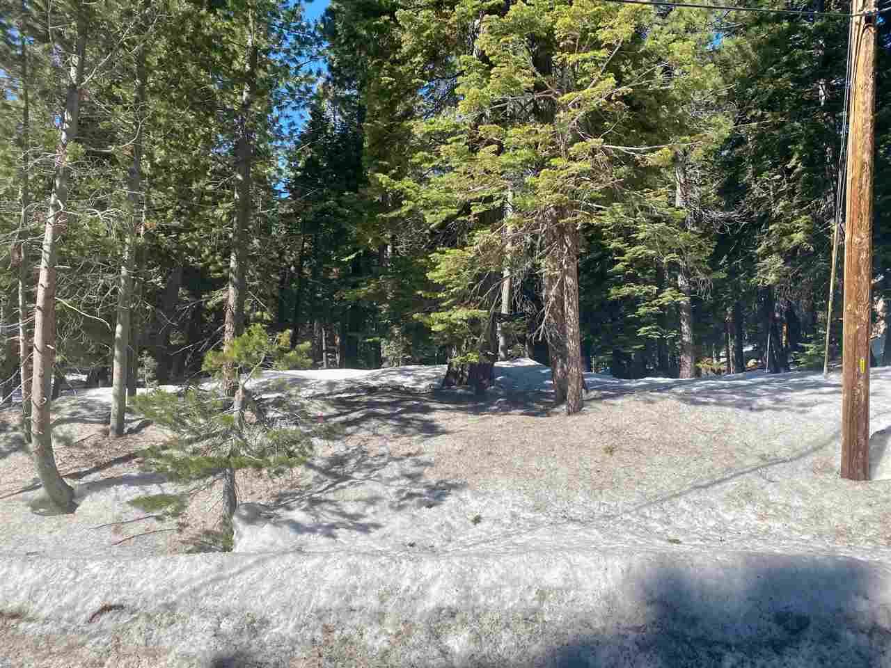 Homewood, CA 96141,420 Snowbird Loop