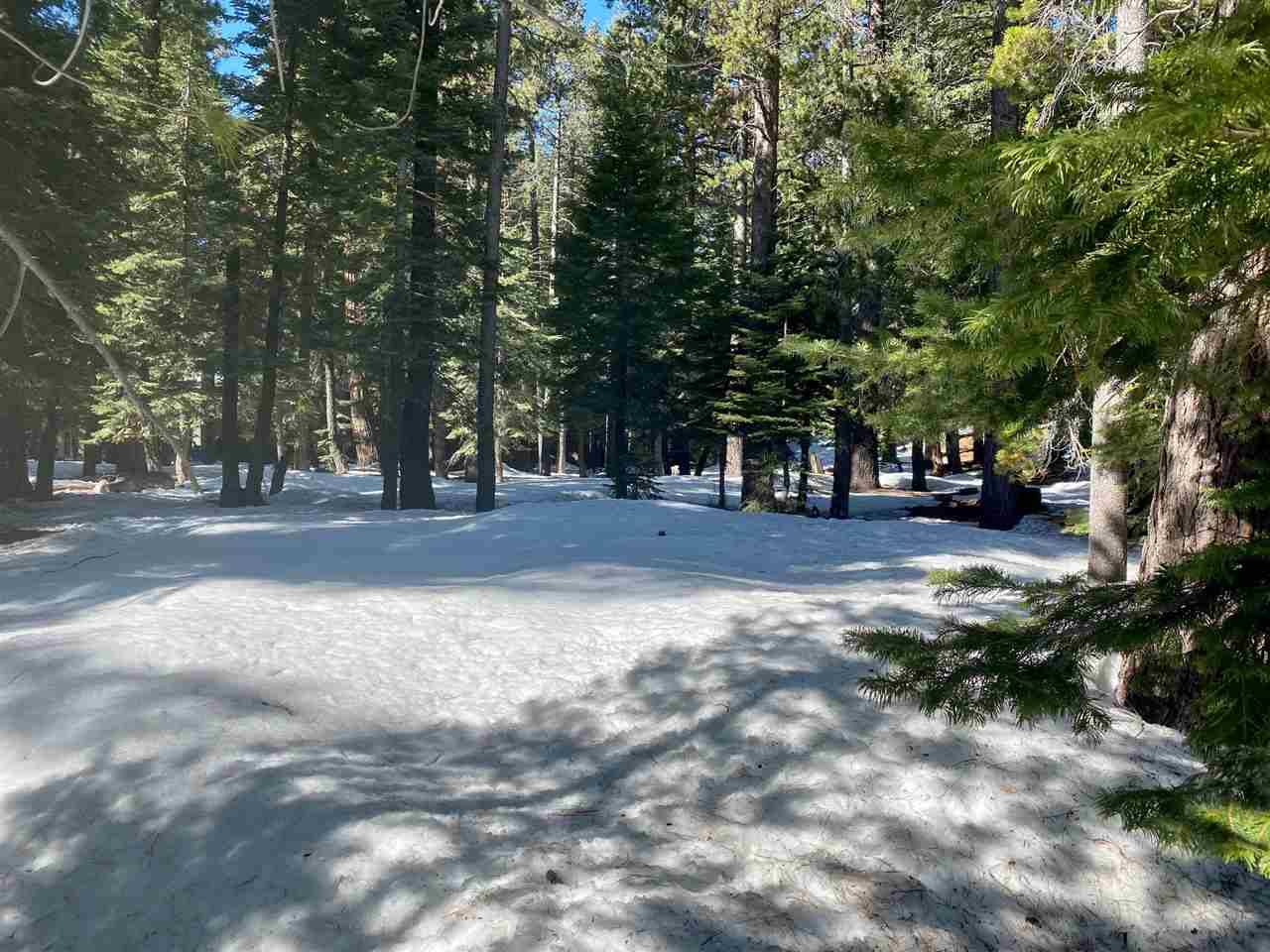 Homewood, CA 96141,420 Snowbird Loop