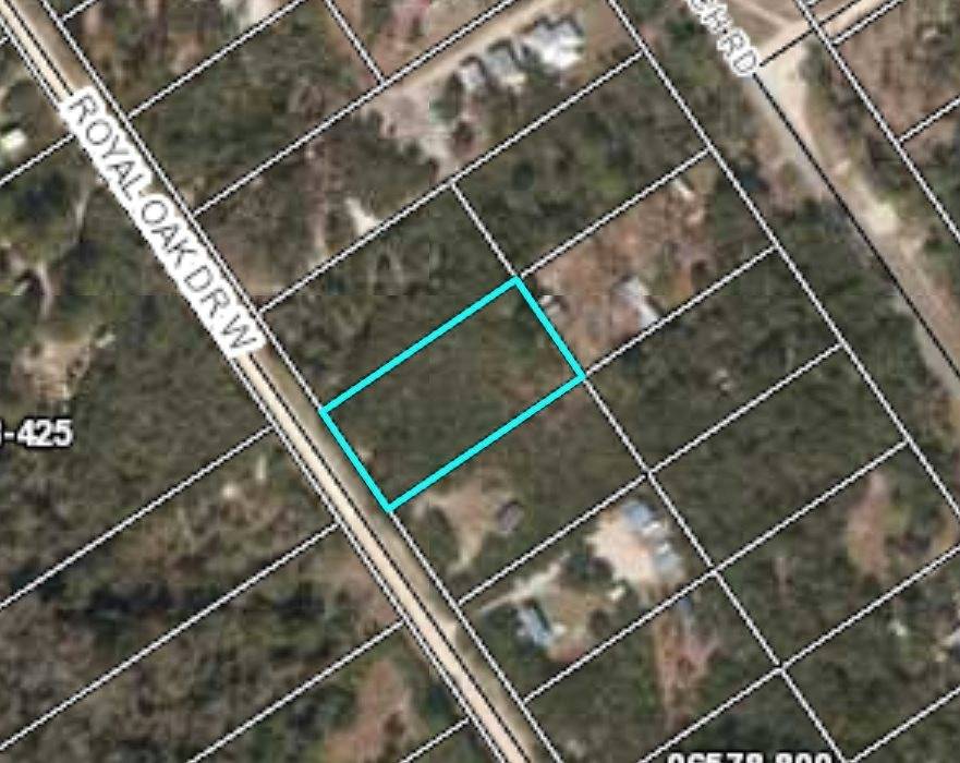 Perry, FL 32348-0000,Lot 348 W Royal Oak Drive