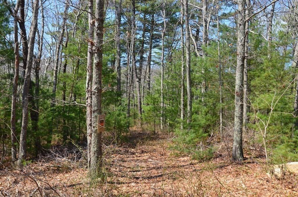 Plymouth, MA 02360,229 Beaver Dam RD