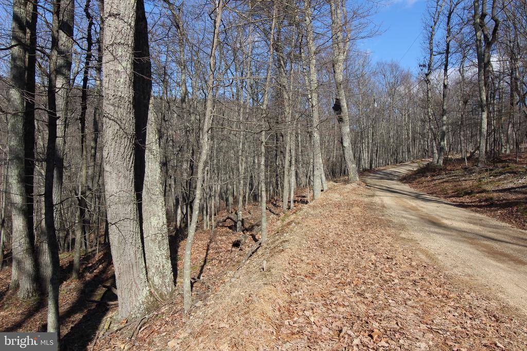 Old Fields, WV 26845,TRACT 13 HIGH KNOB RD