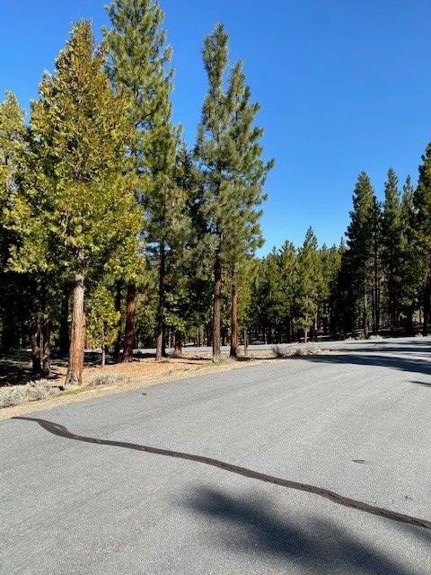 Portola, CA 96122,245 Starflower Drive