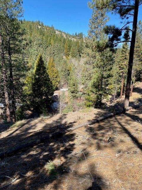 Portola, CA 96122,331 Big Grizzly Road