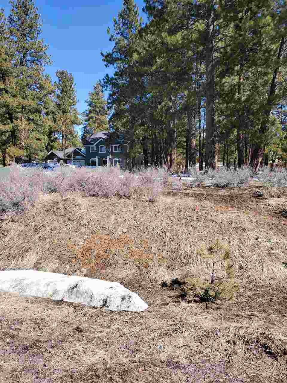 Truckee, CA 96161,15627 Sudsbury Circle