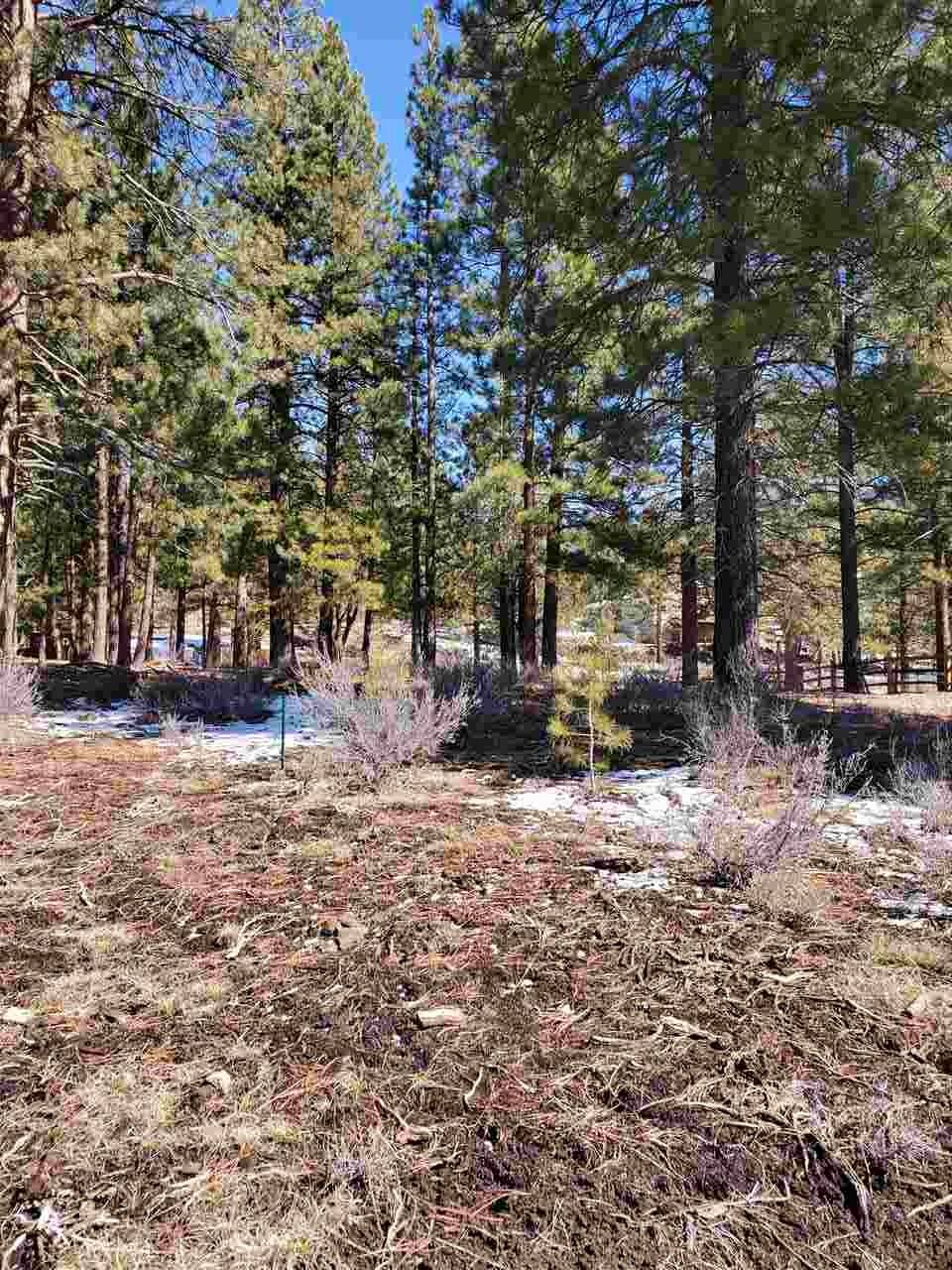 Truckee, CA 96161,15627 Sudsbury Circle