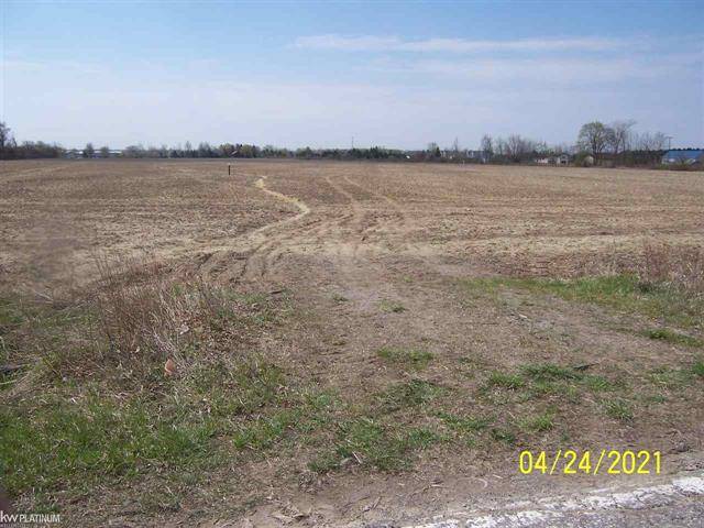 Riley Twp, MI 48041,LAMBS RD VACANT LOT A