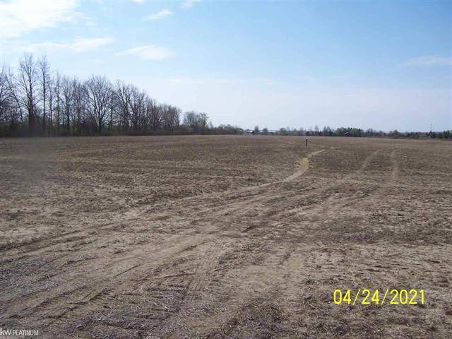 Riley Twp, MI 48041,LAMBS RD VACANT LOT A