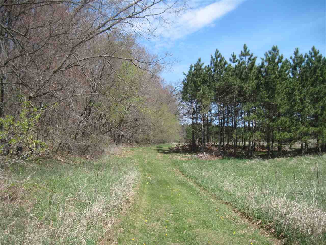 Oxford, WI 53952,35 Acres Fawn Ct