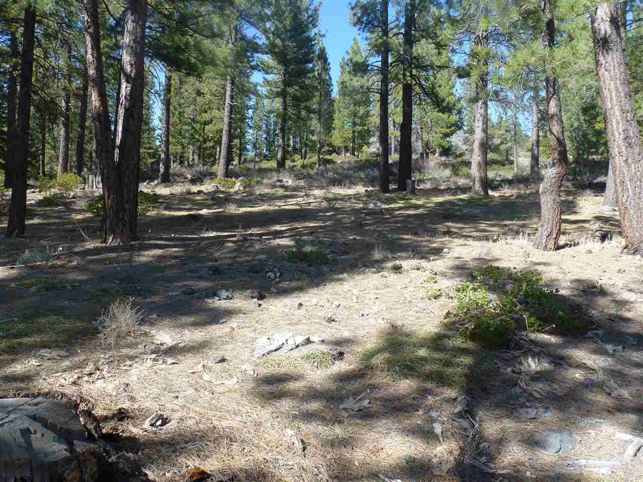 Truckee, CA 96161,590 Stewart McKay