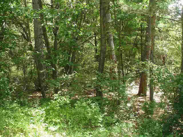 Montello, WI 53949-0000,Lot 33 18th Ln